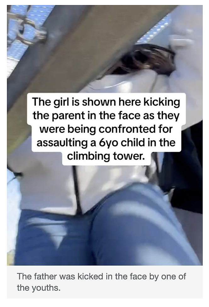 悉尼热门游乐场出事儿了！有家长遭teenagers围攻，妈妈抱着孩子瑟瑟发抖...（组图） - 4