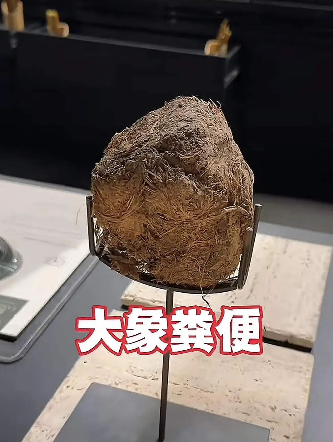 花4000块吃大象屎,上海人还是太超前了(组图) - 7