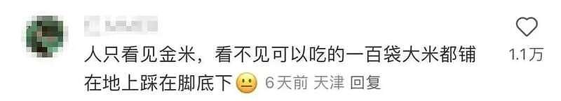 吸睛艺术?狂撒45万黄金!最狂创意人被审判了(组图) - 8