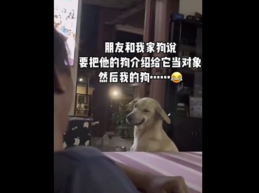 【爆笑】在男朋友包里发现一个硅胶用品，我怀疑是避孕的，但网友都说看起来太不正常了...（组图） - 28