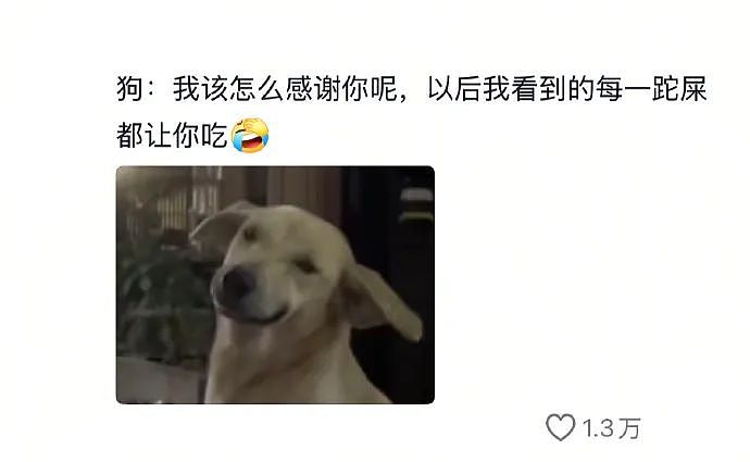 【爆笑】在男朋友包里发现一个硅胶用品，我怀疑是避孕的，但网友都说看起来太不正常了...（组图） - 31