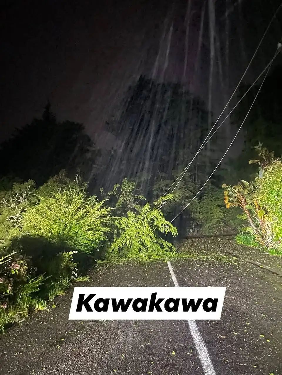 暴雨强风警报！奥克兰万户停电，千人彻夜抢修；旅客注意！海量积分无人消费；天降横财，周六开奖别错过（组图） - 5