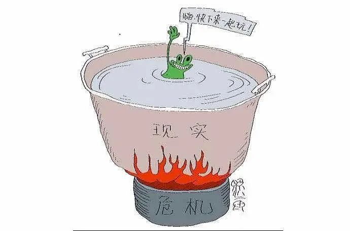 该醒醒了!亚裔孩子霸占澳洲顶尖学校背后,一个残酷的秘密被彻底曝光...(组图) - 13