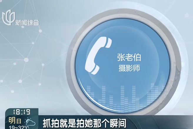 上海一女教师安福路上怒怼“老法师偷拍”:天天拍小姑娘的胸和腿!被骂爷叔:委屈(组图) - 41