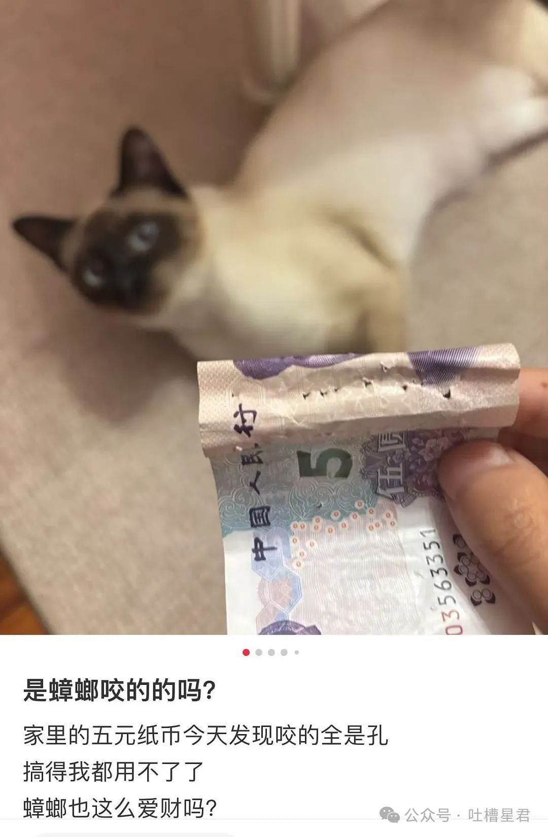 【爆笑】用大叔头像冒充熟人给爸爸发私信后…?哈哈哈爸爸到底把谁对上号了(组图) - 24