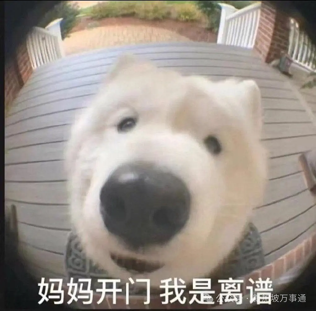 特朗普拟封杀Deepseek、AI芯片禁令加码… 英伟达CEO到访北京:望与中国继续合作(组图) - 5