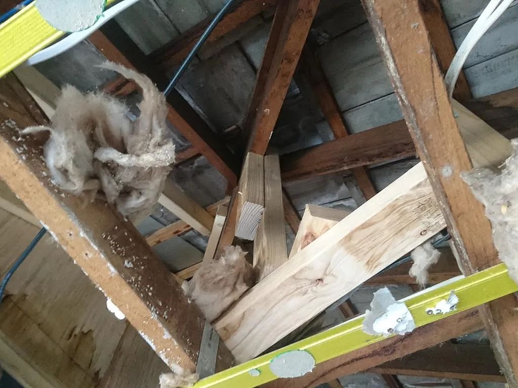 又一个掉坑的！墨夫妇扩建房子，血亏超10万！房子还烂了...（组图） - 4