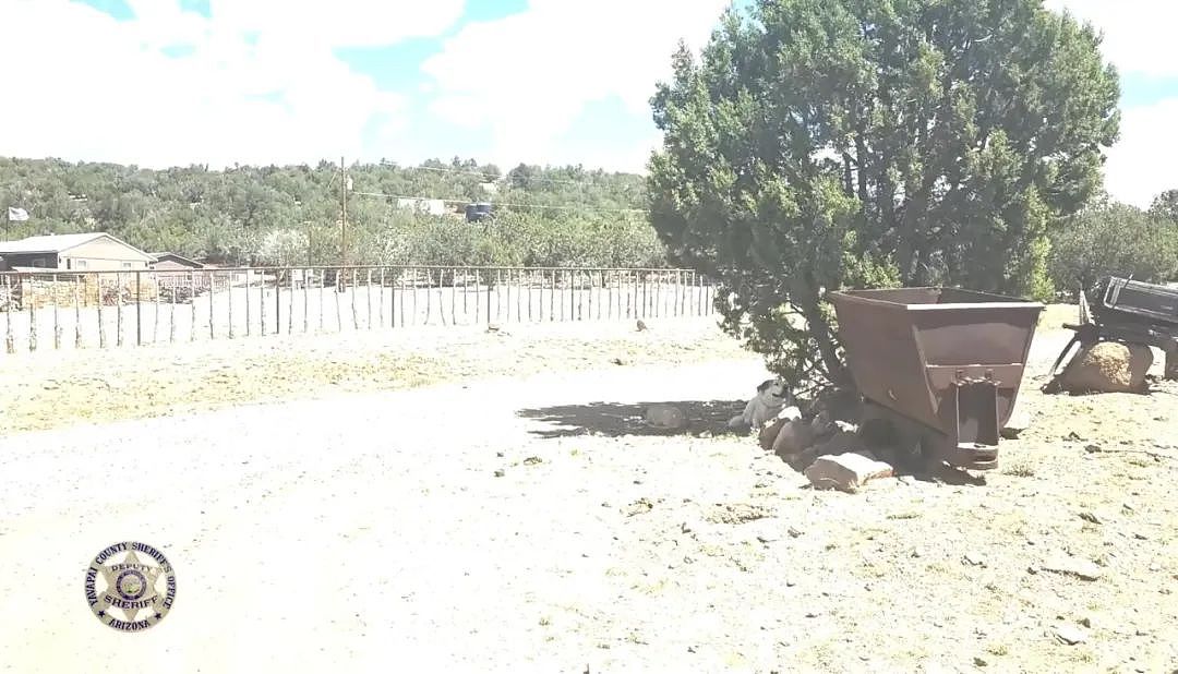 2岁娃走失美洲狮领地,靠狗狗带他穿越树林峡谷!16小时后,一娃一狗平安出现...(组图) - 5