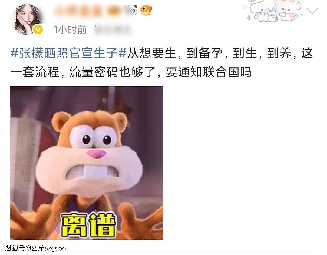 恭喜!36岁张檬官宣生子,三年备孕艰辛路,百万豪华产子引热议(组图) - 12