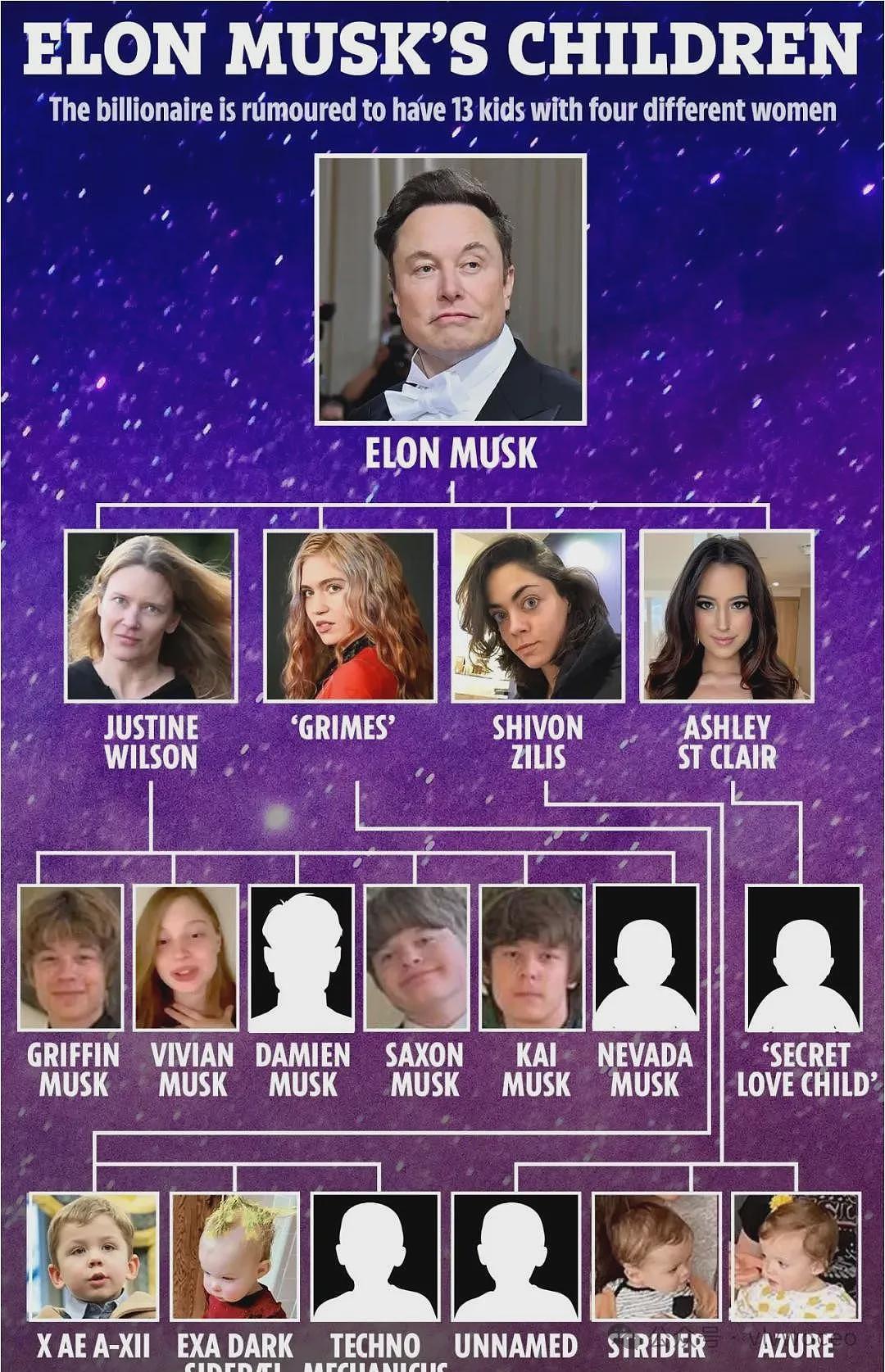 大瓜！马斯克想让这位华裔怀孕遭拒，和顶流女星已生娃？子女或远超15个...（组图） - 20