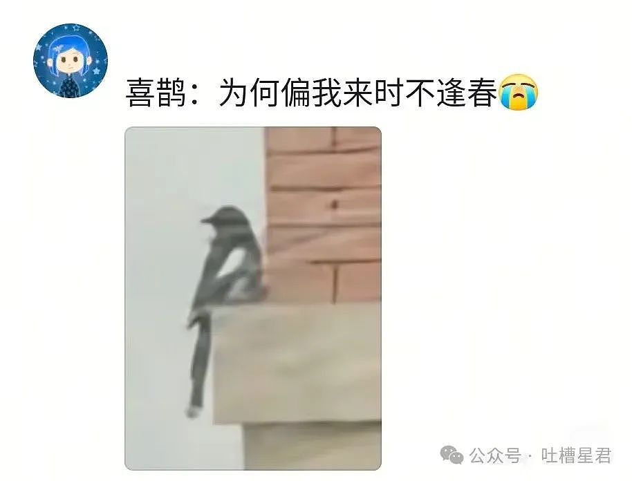 【爆笑】用大叔头像冒充熟人给爸爸发私信后…?哈哈哈爸爸到底把谁对上号了(组图) - 51
