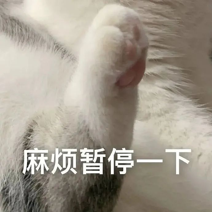 智驾要凉!国家出手整顿车企“吹牛”,重则罚款坐牢(组图) - 10