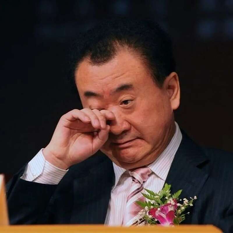 80亿股权被冻结后 王健林已瘦到皮包骨头（组图） - 6