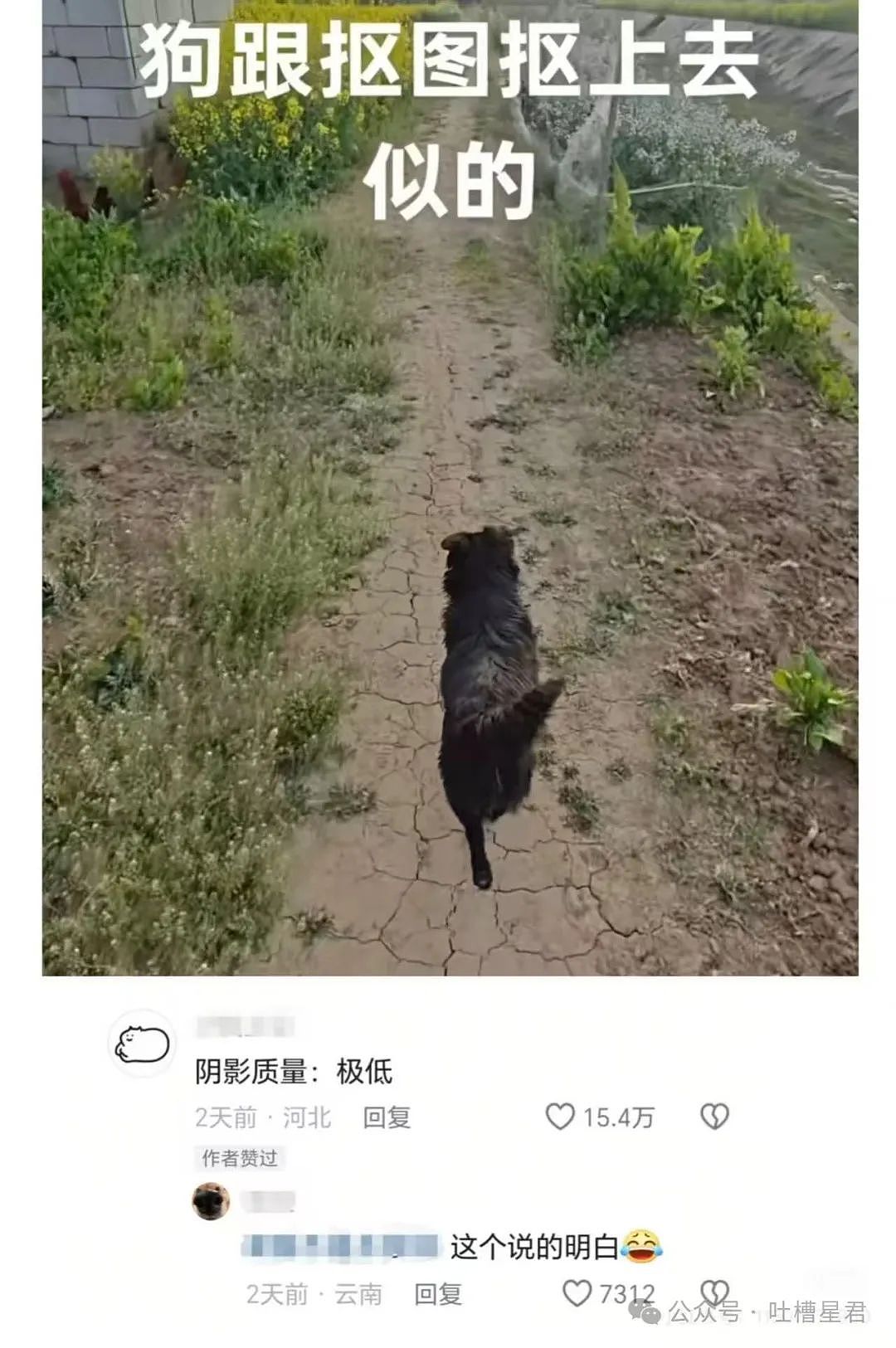 【爆笑】用大叔头像冒充熟人给爸爸发私信后…?哈哈哈爸爸到底把谁对上号了(组图) - 19