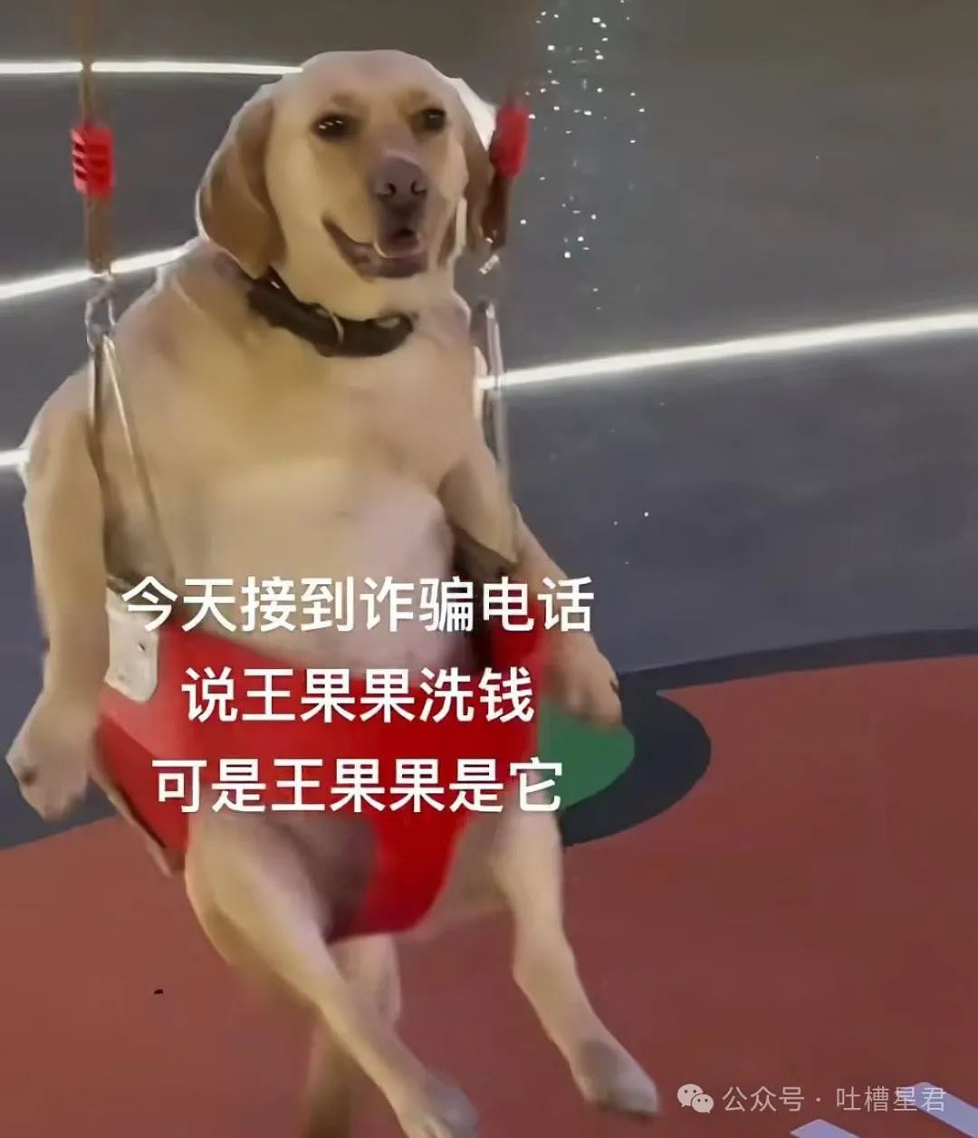 【爆笑】用大叔头像冒充熟人给爸爸发私信后…?哈哈哈爸爸到底把谁对上号了(组图) - 40