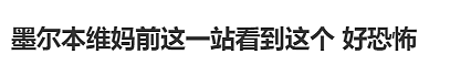 华人提醒!维妈附近看到了这个,感觉好恐怖…(组图) - 4