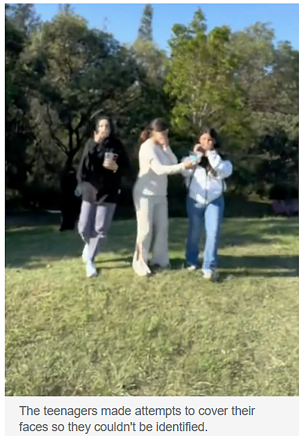 悉尼热门公园竟然出这种事,去那里游玩小心这些人…(组图) - 15