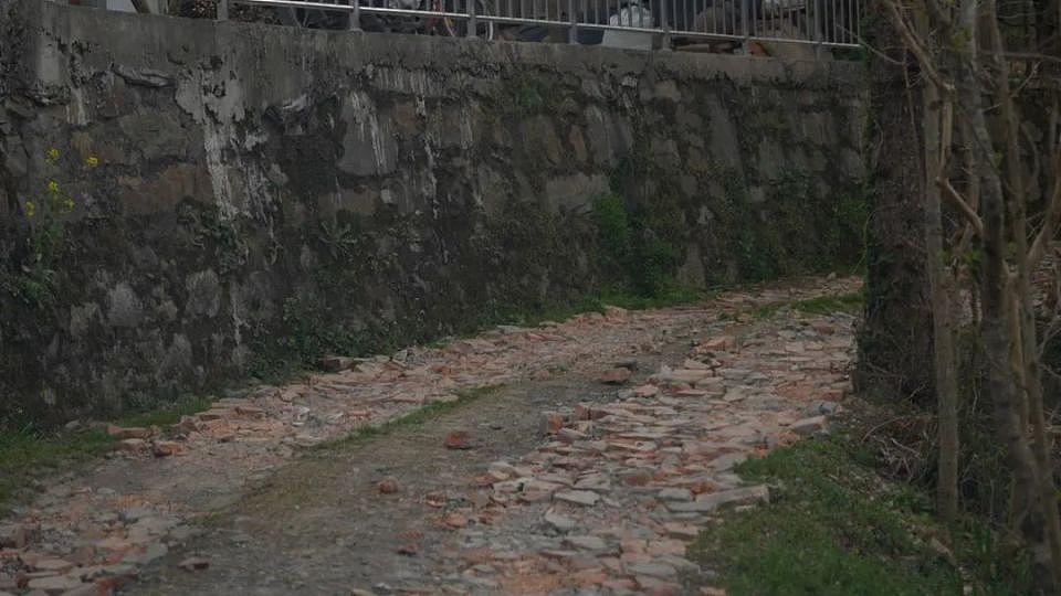 被围观的庞麦郎：2700元的背包，和一场“不专业”的演出（组图） - 10