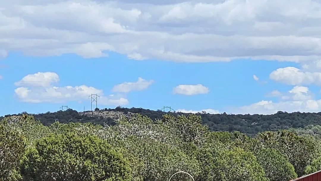 2岁娃走失美洲狮领地,靠狗狗带他穿越树林峡谷!16小时后,一娃一狗平安出现...(组图) - 9