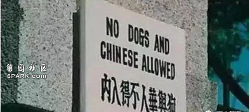 首师大歧视中国人？游泳馆留学生半价进，中国学生禁入（组图） - 19