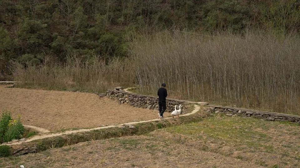 被围观的庞麦郎：2700元的背包，和一场“不专业”的演出（组图） - 13