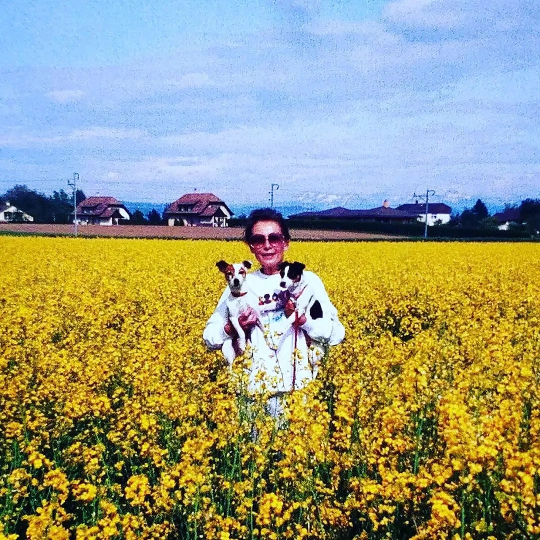 去世32年后,赫本故居现状曝光,网友:女神的审美太绝了(组图) - 36