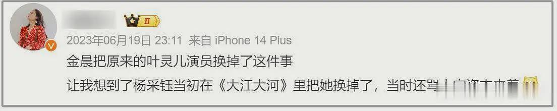 杨采钰怀孕风波升级!牵连刘亦菲和陈金飞,男方被曝是27岁集团公子(组图) - 13