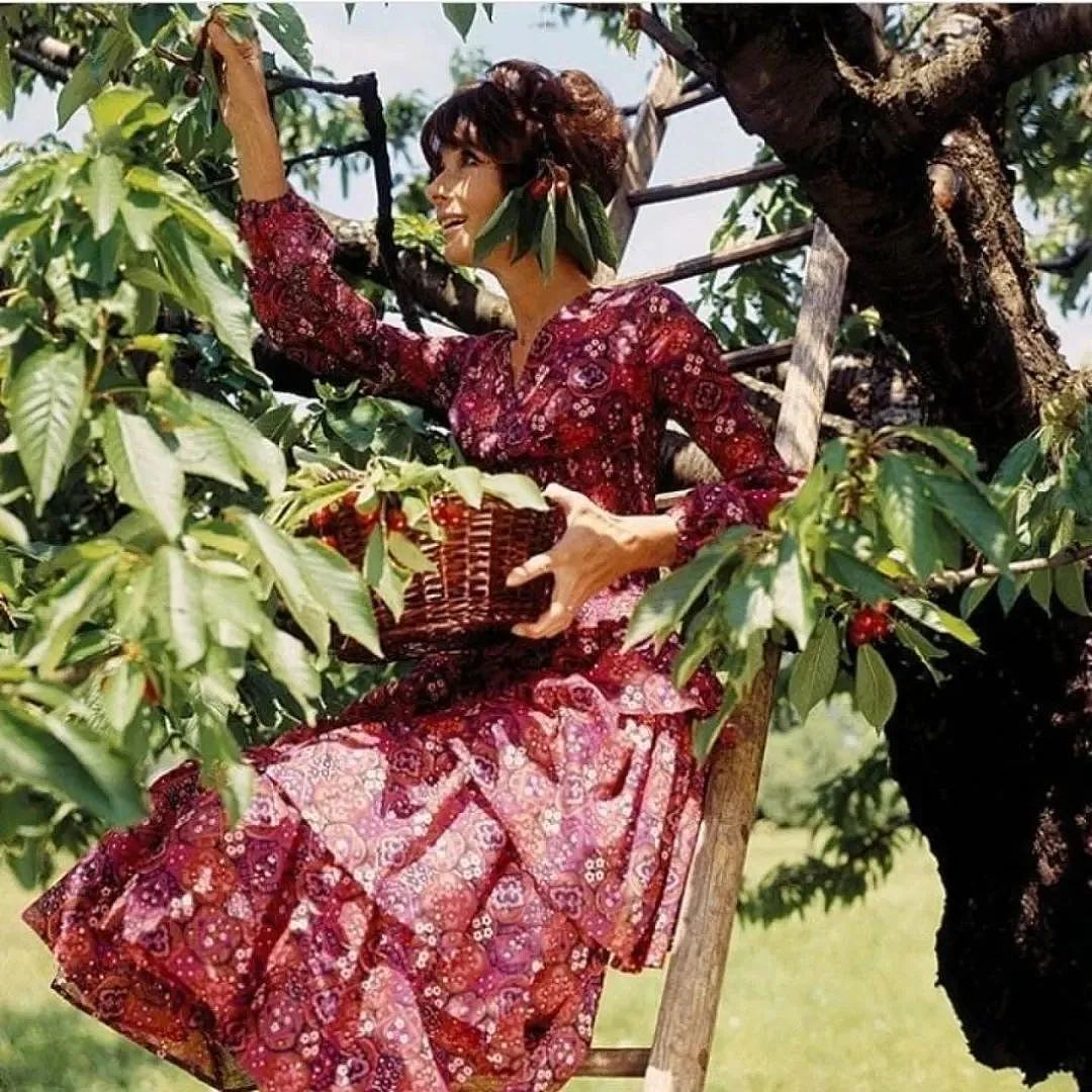 去世32年后,赫本故居现状曝光,网友:女神的审美太绝了(组图) - 20