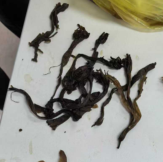 “具有强烈毒性”，母子误食，双双进了ICU！一定听劝：路边的不要买（组图） - 1