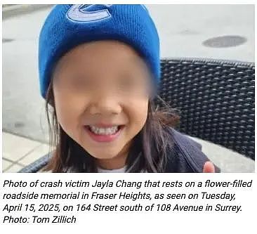 1死2伤！3华裔儿童散步被酒驾司机撞倒，司机逃逸遭逮捕后被保释（组图） - 2