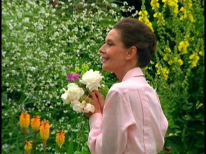 去世32年后,赫本故居现状曝光,网友:女神的审美太绝了(组图) - 33