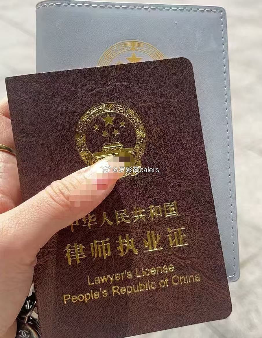16年前被公安局政委女儿冒名顶替上大学，罗彩霞当上律师获盛赞（组图） - 5