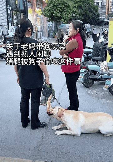 【爆笑】“男票误以为我和女领导谈上了?”哈哈哈哈哈要不你们仨凑合着过吧(组图) - 84