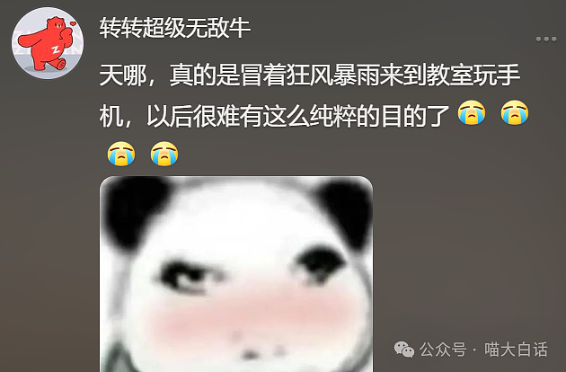 【爆笑】“男票误以为我和女领导谈上了?”哈哈哈哈哈要不你们仨凑合着过吧(组图) - 135