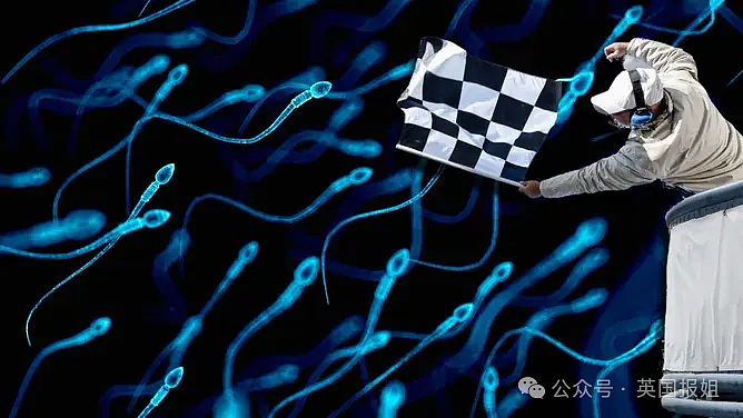 美国将办世界首届精子赛跑大赛？名校学霸牵头整活儿，20厘米赛道冲刺成功者胜（组图） - 9