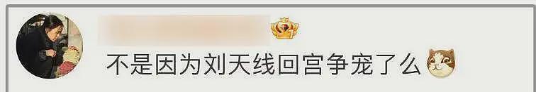 杨采钰怀孕风波升级!牵连刘亦菲和陈金飞,男方被曝是27岁集团公子(组图) - 16