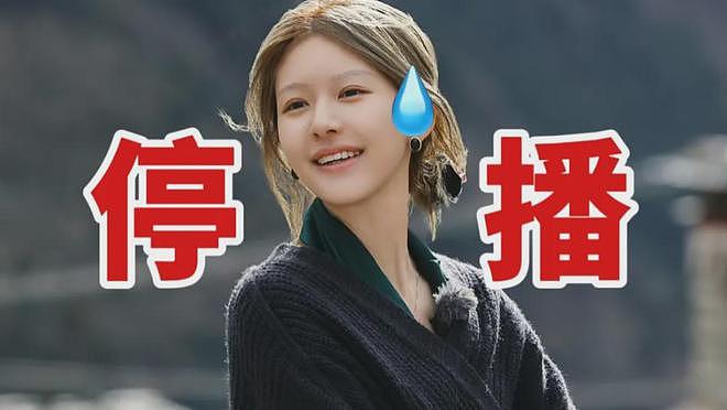 赵露思综艺停播！捆绑慈善消费村民影响出圈，网友支持停播整顿（组图） - 1