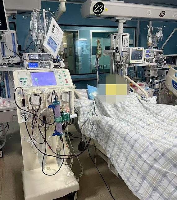 “具有强烈毒性”，母子误食，双双进了ICU！一定听劝：路边的不要买（组图） - 3