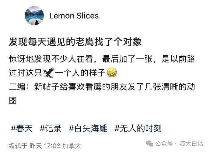 【爆笑】“妈妈跟客服的聊天有多搞笑？”哈哈哈哈哈就因为少了个标点符号（组图） - 69