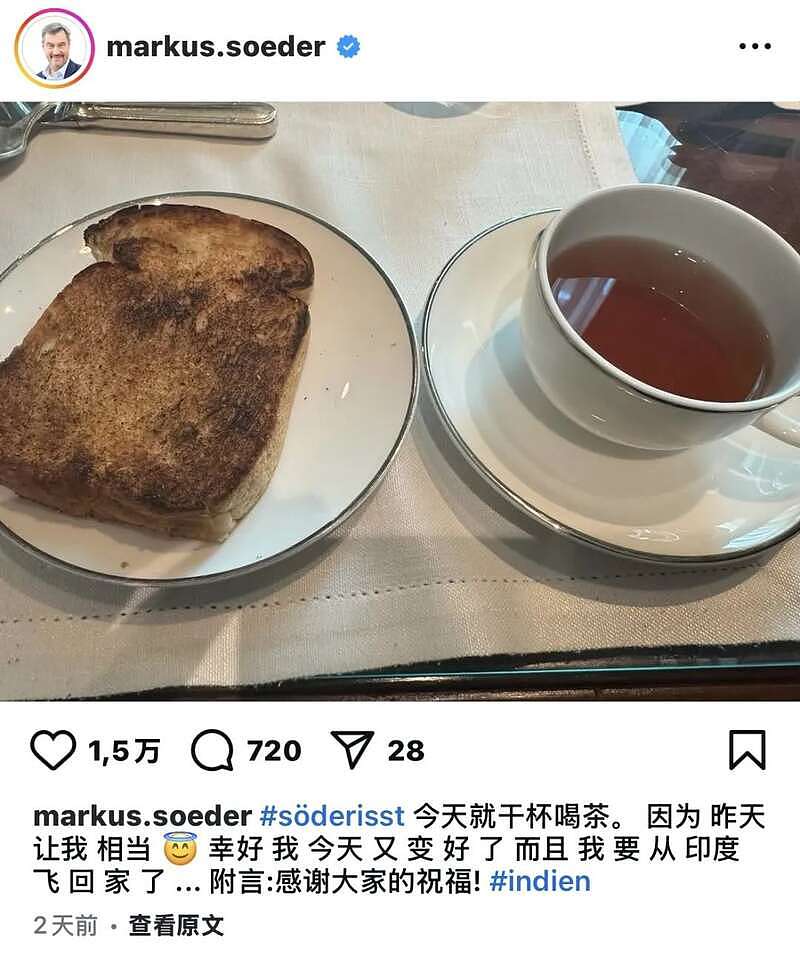 德国州长访印，被美食放倒！拉到虚脱提前回国（组图） - 10