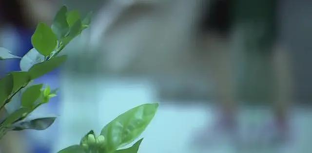 女中学生偷尝禁果，私奔不成全家遭灭门，一枚血脚印牵出不伦之恋（组图） - 22