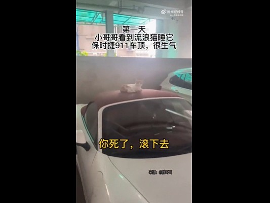 【爆笑】三天拿下一个开保时捷的男人?不建议模仿,趴在这个地方真挺难的...(组图) - 2