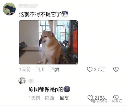 【爆笑】千万别轻易叫网友帮忙P图，否则...网友笑疯：哈哈哈P图水平够野！（组图） - 53