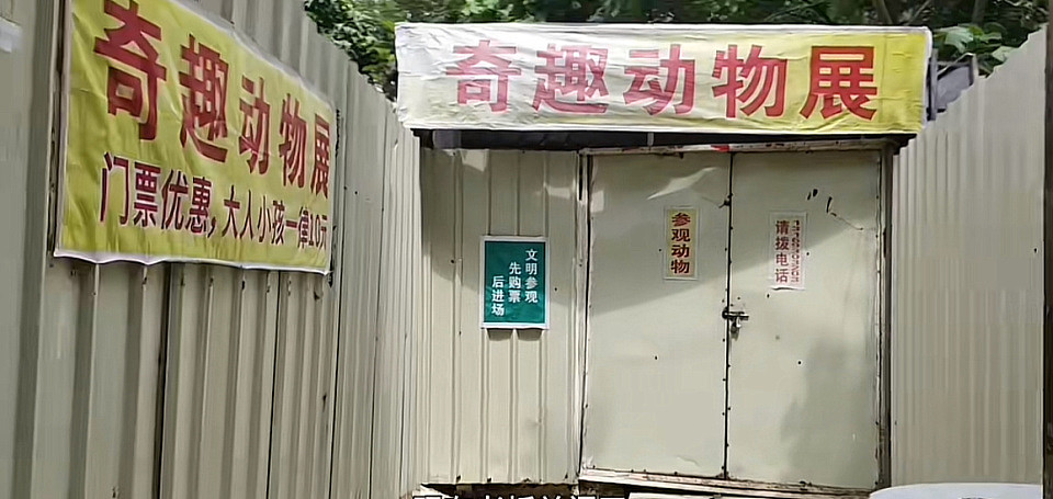 广东中山华佗山10元动物园爆火后，院长忙得没空喝水：红就赚一点，不红就退休养老（视频/组图） - 1