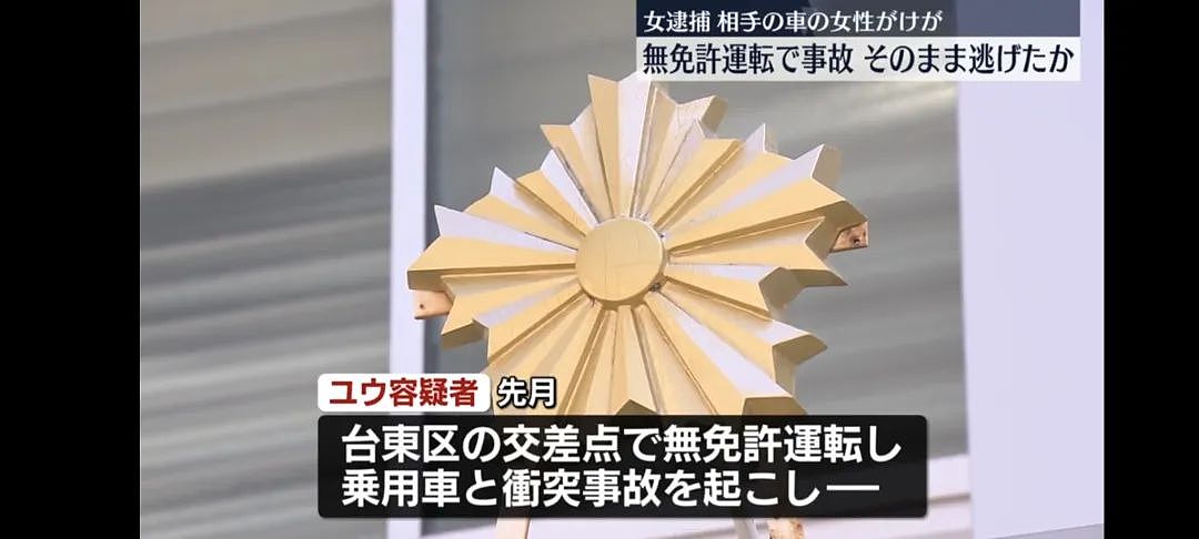 32岁中国女高管在东京无证开车撞人逃跑,被警方迅速逮捕,后果惨了(组图) - 5