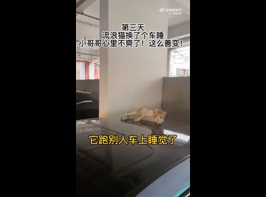 【爆笑】三天拿下一个开保时捷的男人?不建议模仿,趴在这个地方真挺难的...(组图) - 3