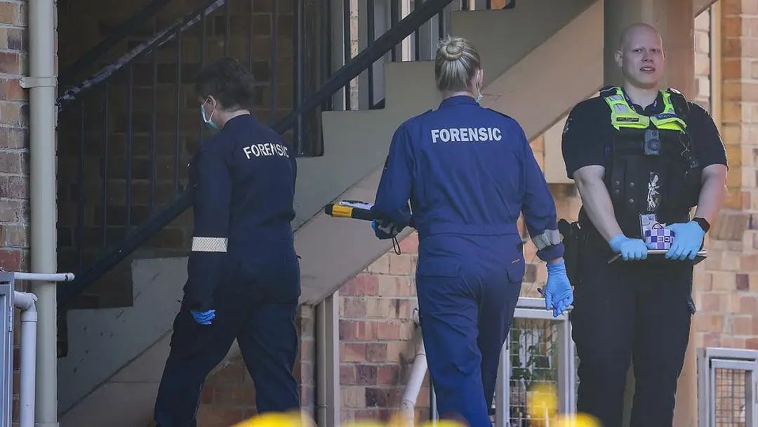 痛心!墨尔本36岁年轻爸爸,劝架时被亲弟弟捅死……(组图) - 3