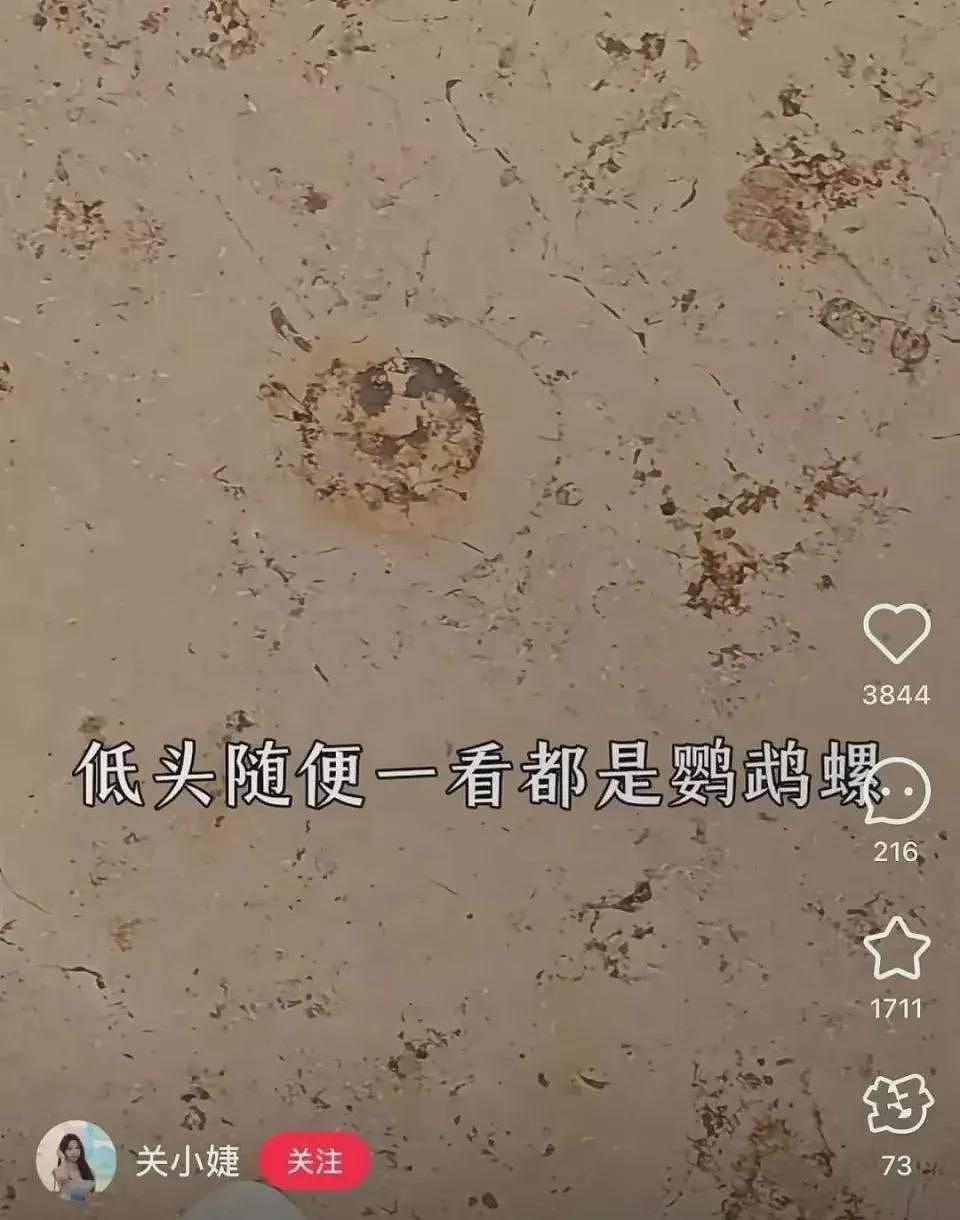 小城贵妇，捧红“中国第一销金窟”！全球最牛商场竟靠厕所出圈（组图） - 8