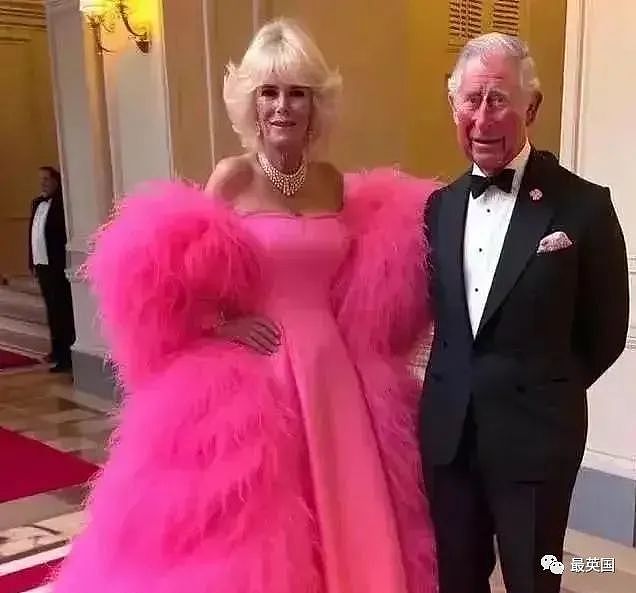 王室专家预测:卡米拉比女王长寿,锁定“王太后”!她却凡尔赛:不想当王,只想永伴查尔斯身旁…(组图) - 24