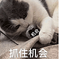 赚麻了！美国人开始组团到中国干代购...（组图） - 10